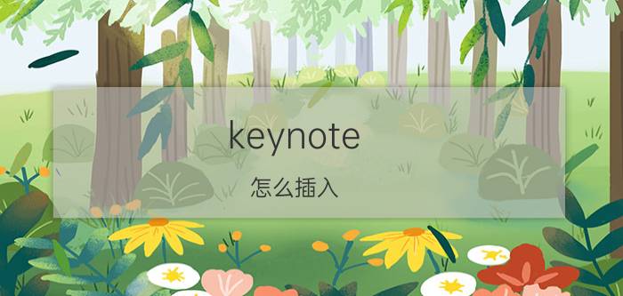 keynote 怎么插入 ps5画面如何投在ipad上？